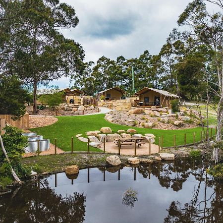 Glamping 148 Tasmania St Helens Exterior foto