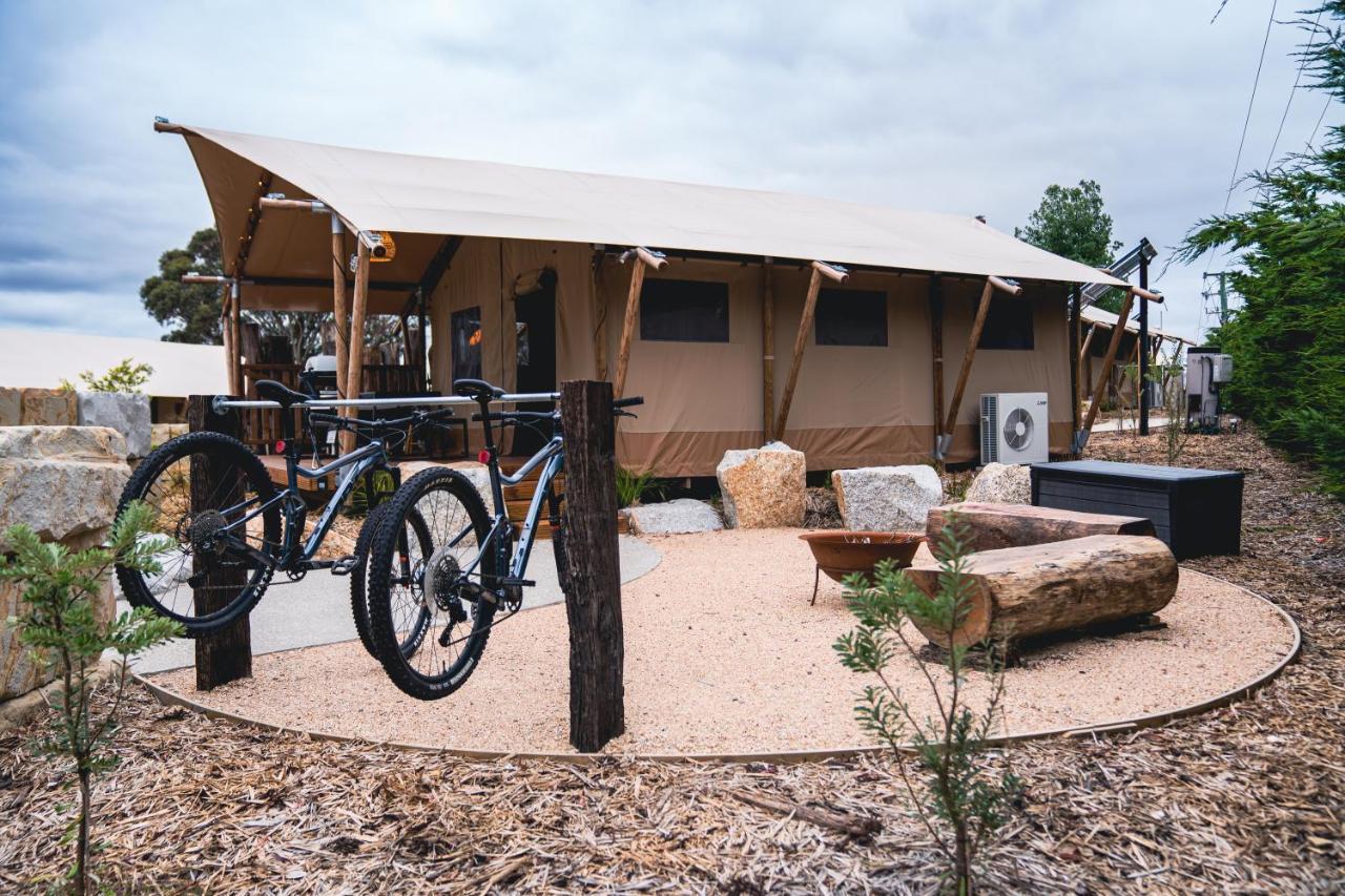 Glamping 148 Tasmania St Helens Exterior foto