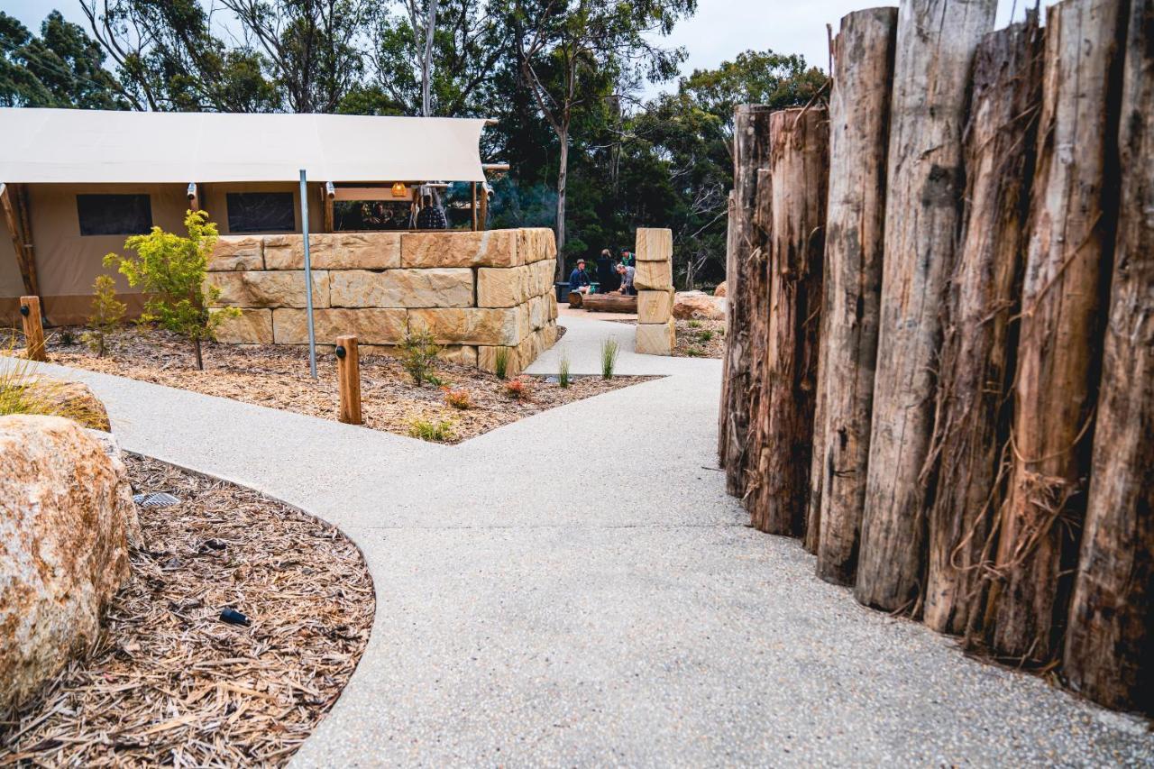 Glamping 148 Tasmania St Helens Exterior foto